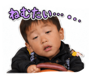 855633524