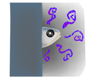 855633690
