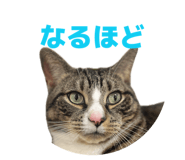 855633827