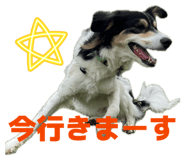 855633830