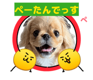 855633833