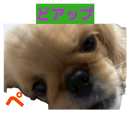 855633838