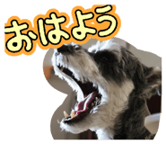 855634537