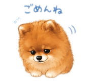 855634628