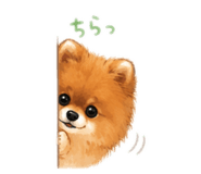 855634629