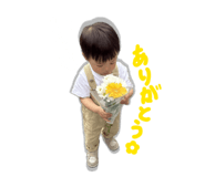 855634635