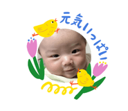 855635121