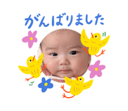 855635126