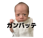 855635247