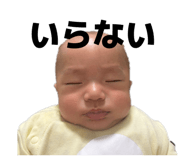 855635264