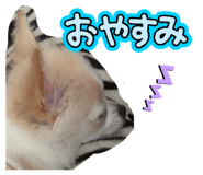 855635530