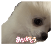 855635536