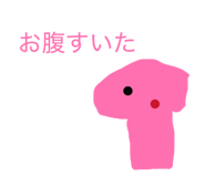 855635630