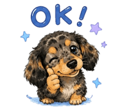 855635900