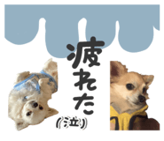 855636319
