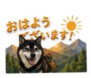 855636382