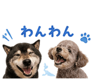 855636389