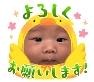 855636497