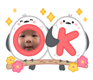 855636500