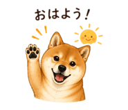 855636505