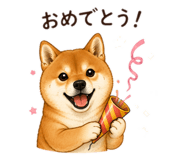 855636506