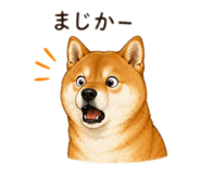 855636510