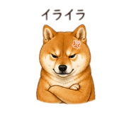855636511