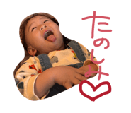 855636545