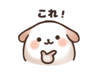 855636620