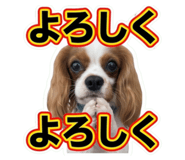 855636676
