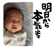 855636704