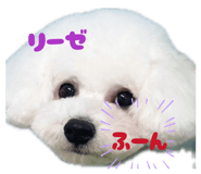 855637171