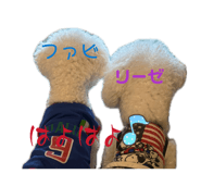 855637172