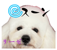 855637174