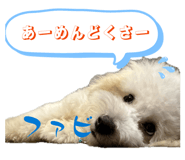 855637175