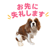 855637194