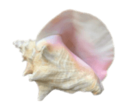 855637270