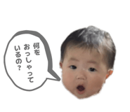 855637282