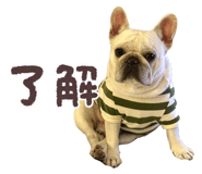 855637365