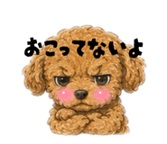 855637430