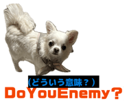 855637461