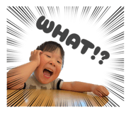 855637506