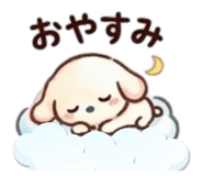 855637981