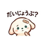 855637984