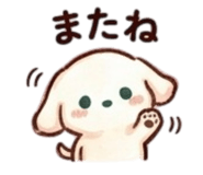 855637988