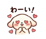 855637989