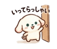 855637996
