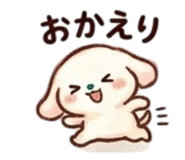 855637997
