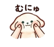 855637999