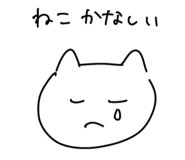 855638106